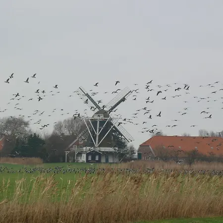 Apartment Liekedeeler Neuharlingersiel