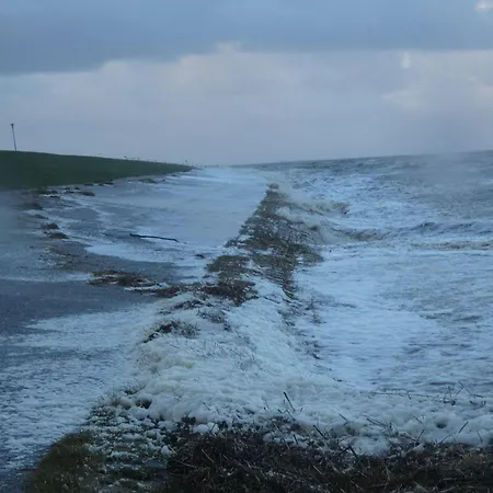 Liekedeeler Neuharlingersiel